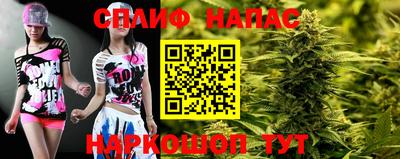 твердый Кингисепп