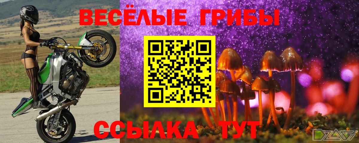 Геленджик  Галлюциногенные грибы GOLDEN TEACHER  Вход с VPN 
