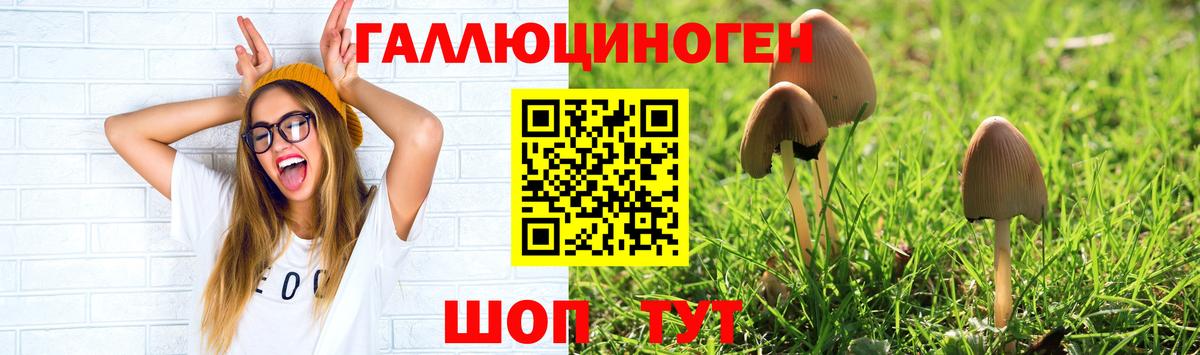 Галлюциногенные грибы Magic Shrooms Геленджик